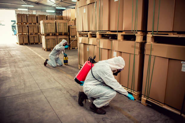 Best Best Pest Control Companies  in Warsaw, VA