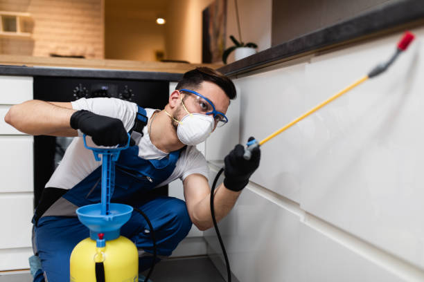 Professional Pest Control in Warsaw, VA