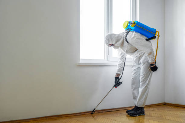 Best Flea Control Services  in Warsaw, VA