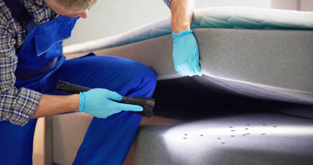Best Best Pest Control Companies  in Warsaw, VA