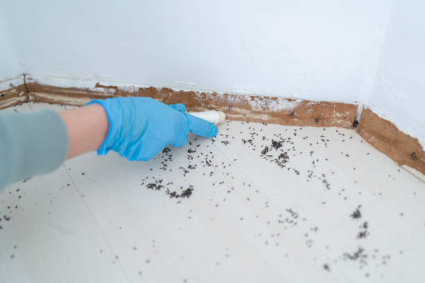 Best Pest Control for Businesses  in Warsaw, VA