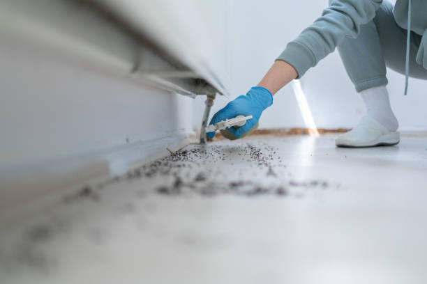 Pest Control for Restaurants in Warsaw, VA