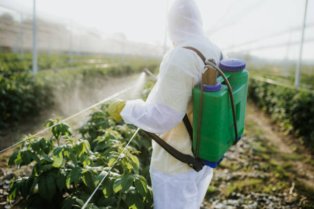 Best Mosquito Control Services  in Warsaw, VA